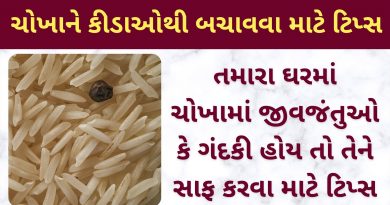 rice store karvani rit