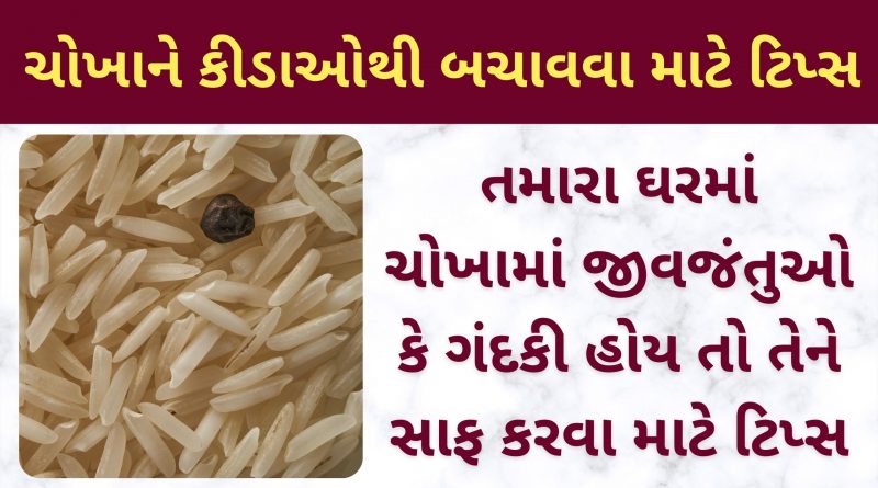 rice store karvani rit