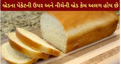 bread information