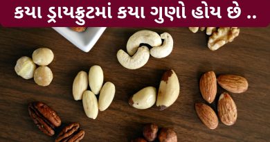 dry fruits gujarat