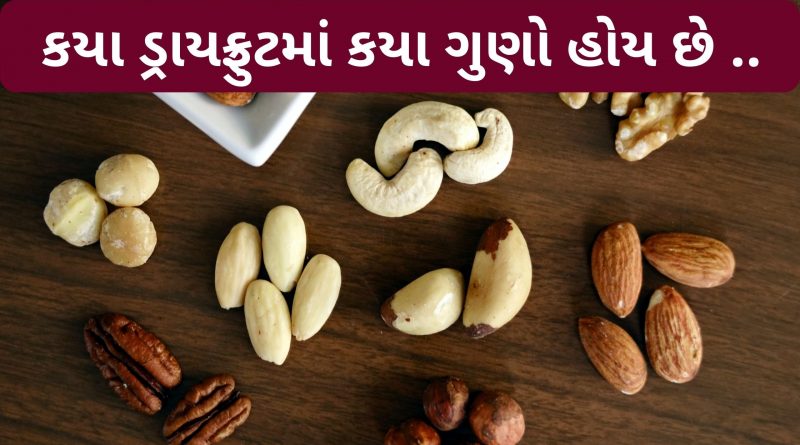 dry fruits gujarat