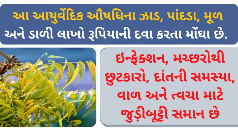 limda na pan na fayda