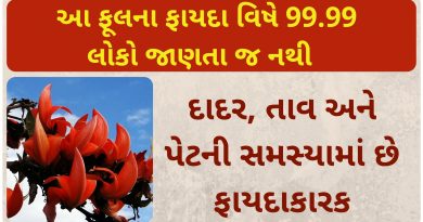 palashan ful na fayda