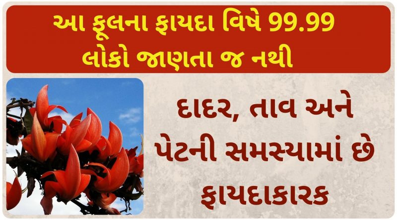 palashan ful na fayda