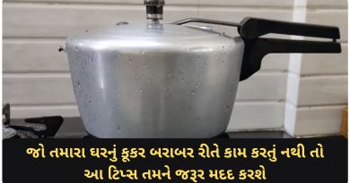 pressure cooker tips in gujarati