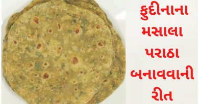 pudina paratha recipe