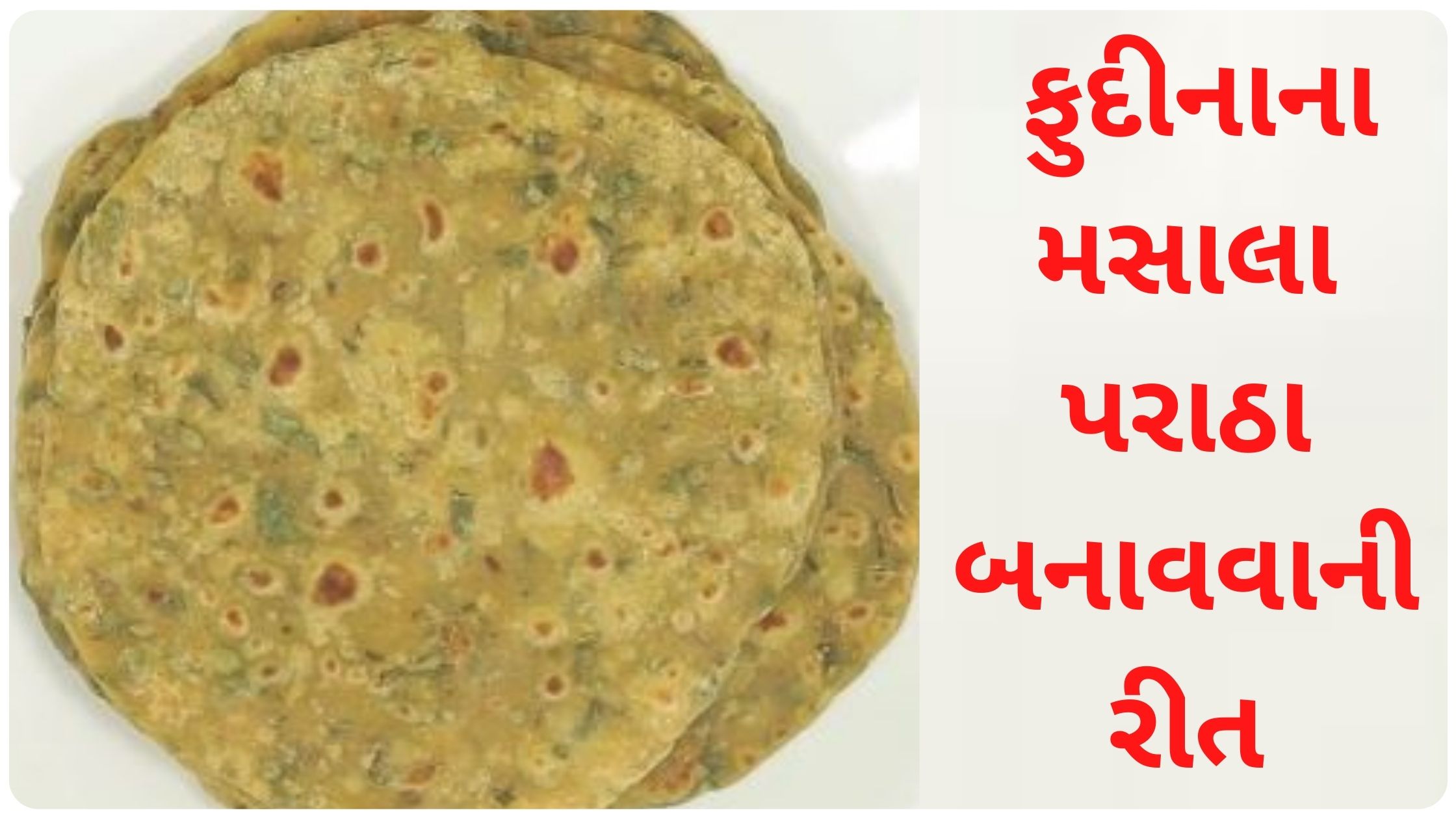 pudina paratha recipe