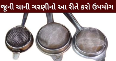 tea strainer in gujarati