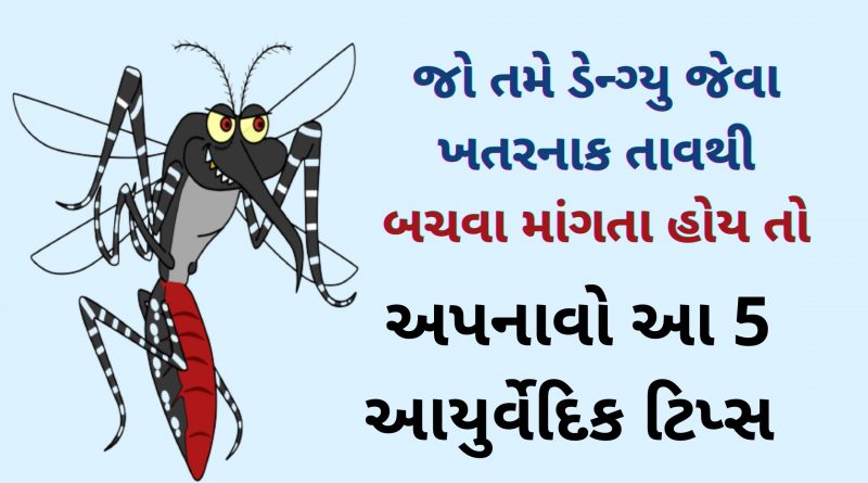 dengue thi bachvani tips in gujarati