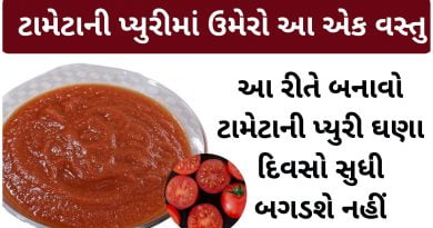 tomato puree recipe in gujarati