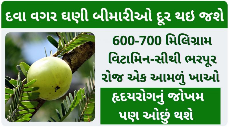 amla benefits in gujarati