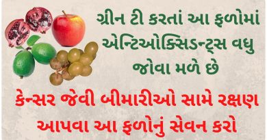 high antioxidant food