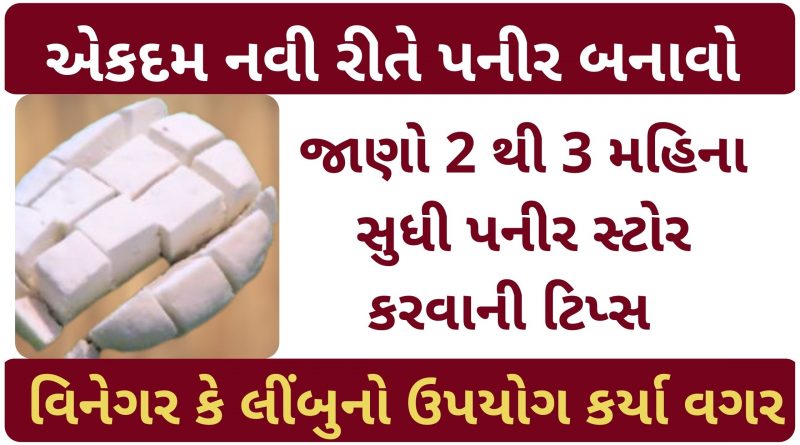 homemade paneer recipe