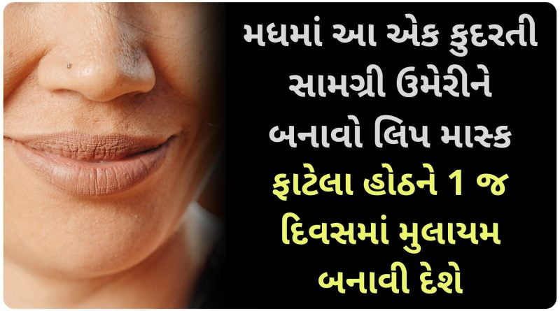 how to make lip mask at home in gujarati
