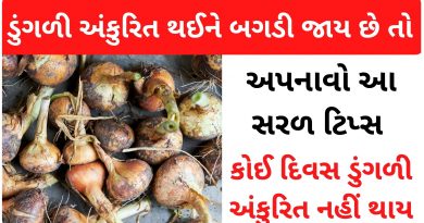 onion sprouts tips in gujarati