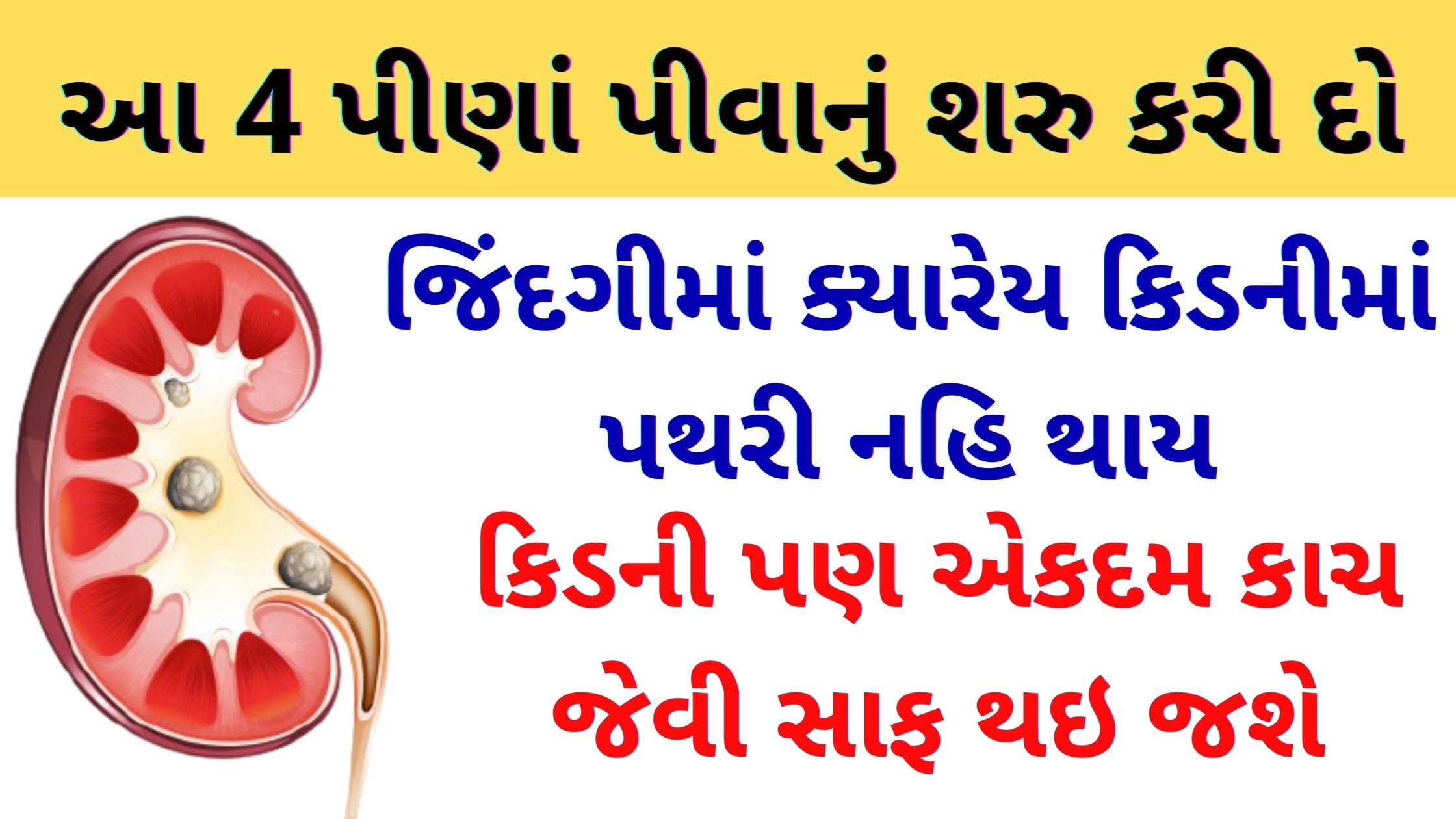 આ 4 પીણાં પીવાનું શરુ કરી દો, જિંદગીમાં ક્યારેય કિડનીમાં પથરી નહિ થાય અને કિડની પણ સાફ રહેશે pathari ni dava