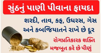 sonth powder benefits in gujarati