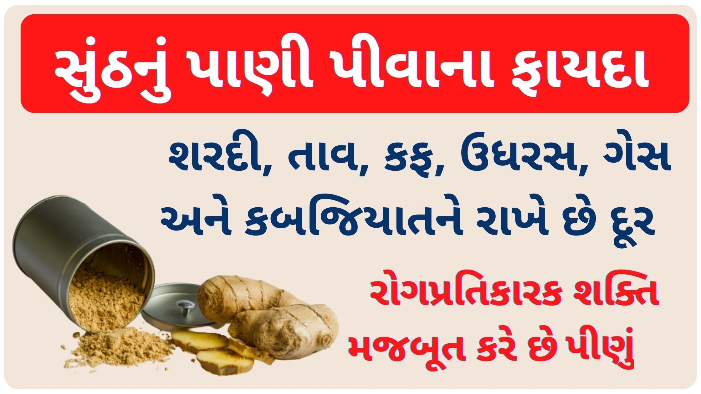 sonth powder benefits in gujarati