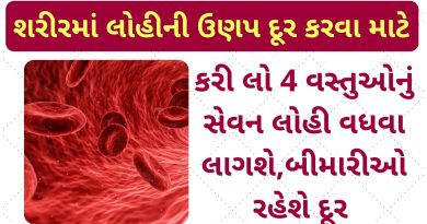 which food increase blood in your body