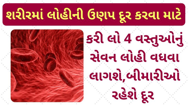 which food increase blood in your body