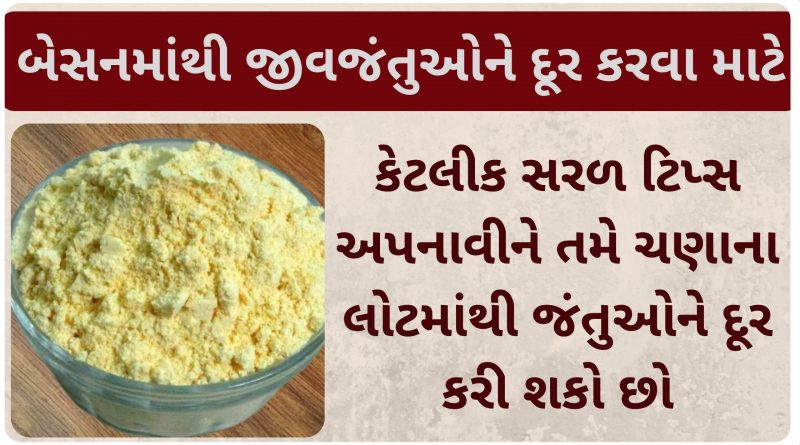 besan ma kida pade to shu karvu