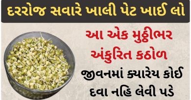 fangavela mag benefits in gujarati