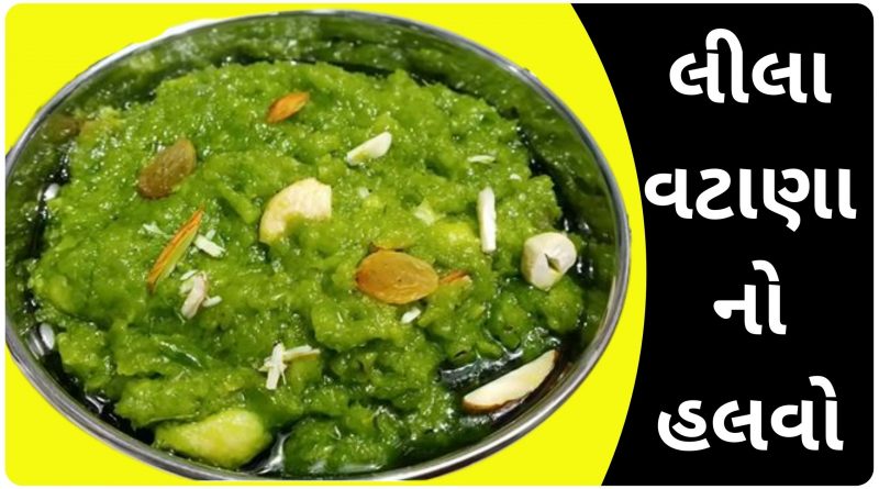 lila vatana no halvo