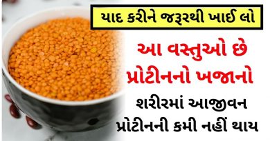 protein rich food for vegetarians