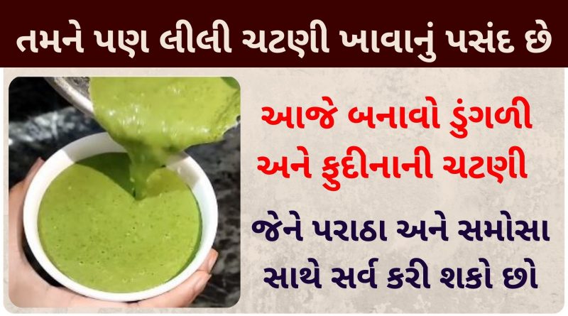pudina chutney recipe in gujarati
