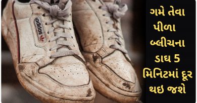 white shoes cleaning tips in gujarati