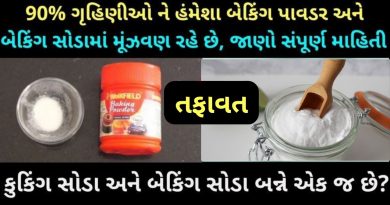 difference between baking soda and baking powder in gujarati