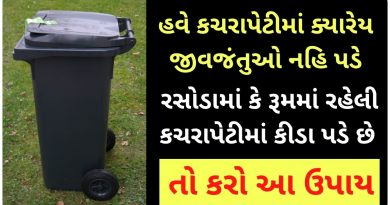 dustbin cleaning tips