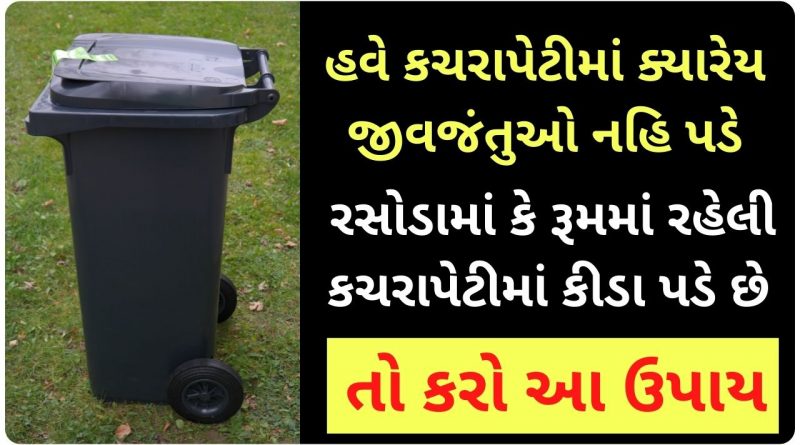 dustbin cleaning tips