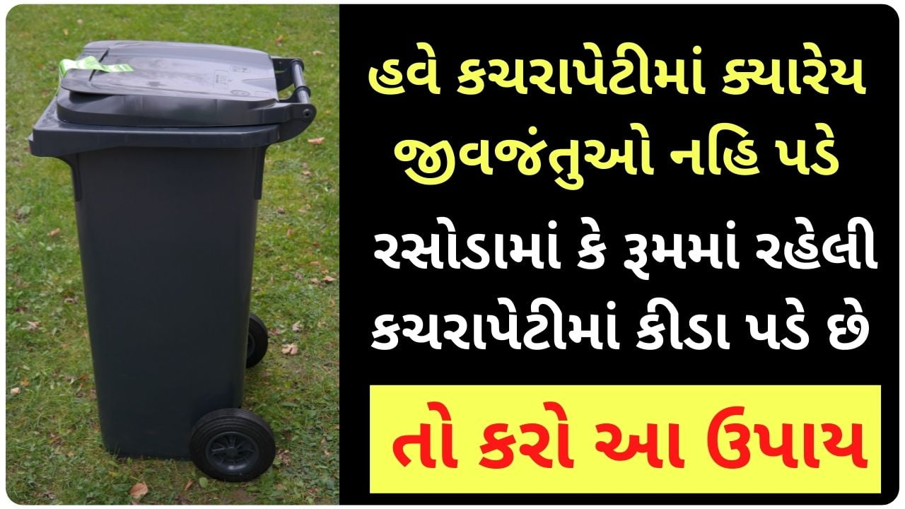 dustbin cleaning tips