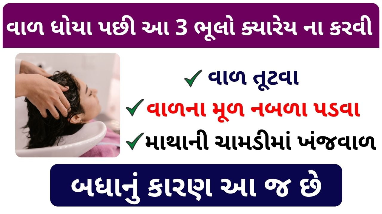 hair care tips in gujarati