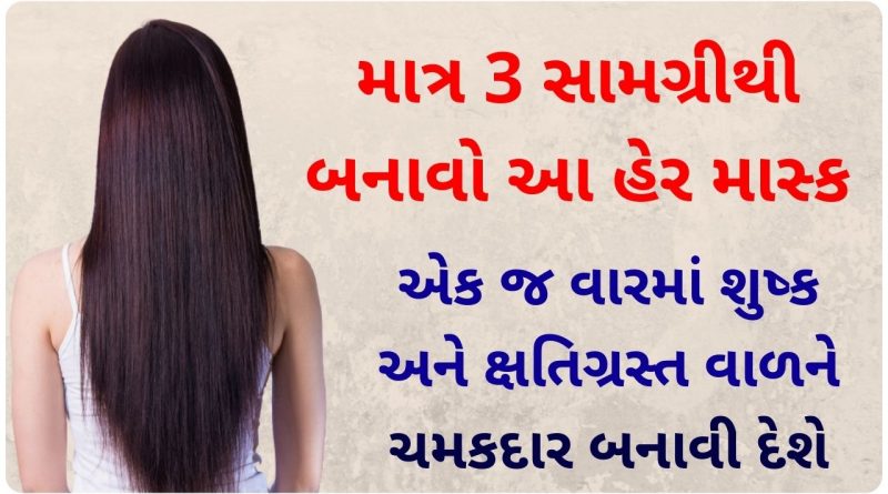hair mask for dry hair in gujarati