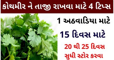 kothmir stor karavani rit