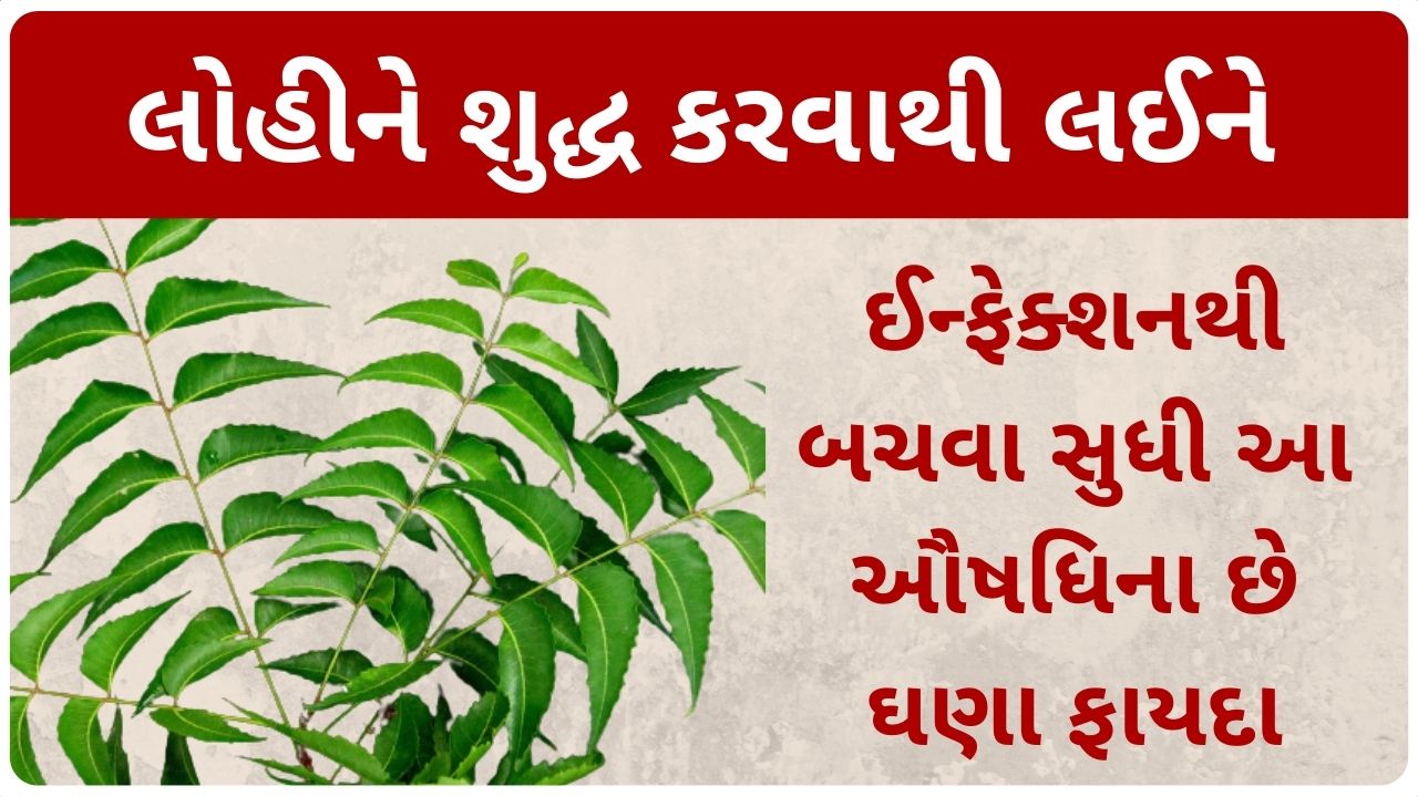 neem benefits in gujarati