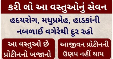 protein foods veg list in gujarati