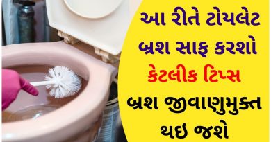 toilet brush cleaning tips in gujarati
