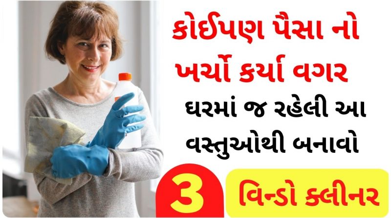 window cleaner banavani rit