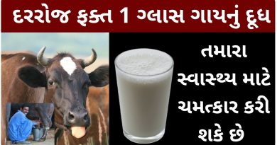 cow milk benefits in gujarati
