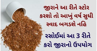 dhana jiru in gujarati