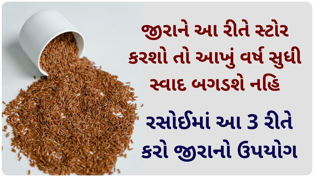 dhana jiru in gujarati