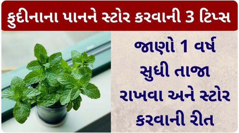 fudina stor karvani tips gujarati