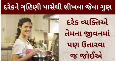 housewife meaning in gujarati