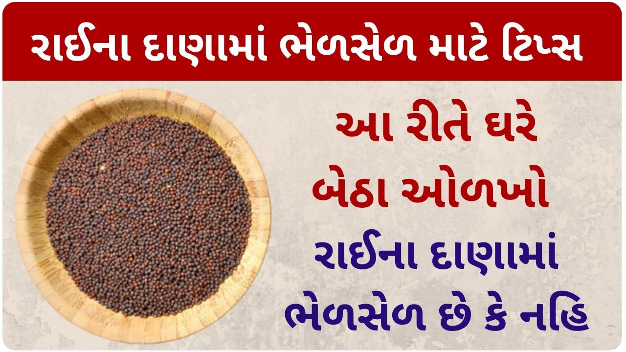 mustard seed in gujarati