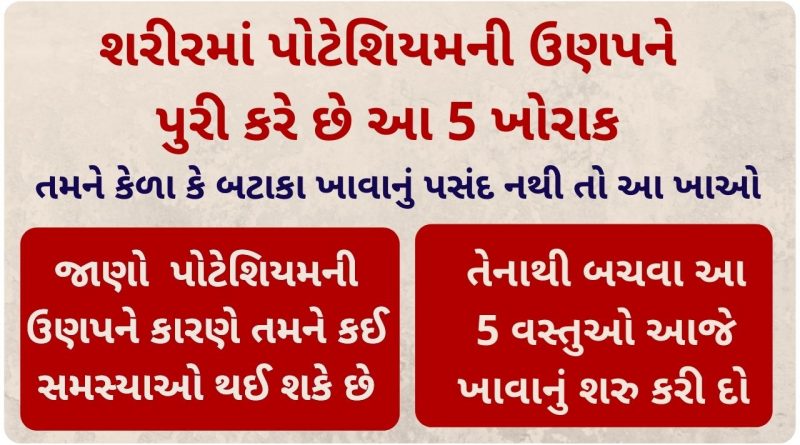 potassium foods list in gujarati