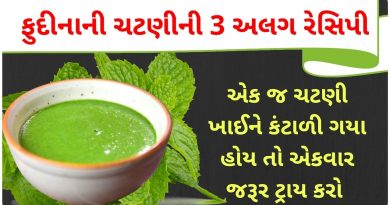 pudina chutney recipe gujarati