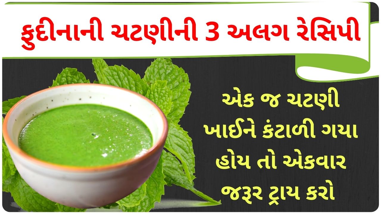 pudina chutney recipe gujarati